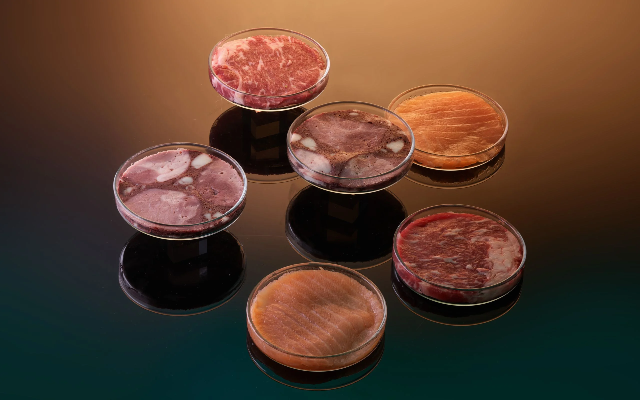 Photograph of petri dishes containing various types of meat